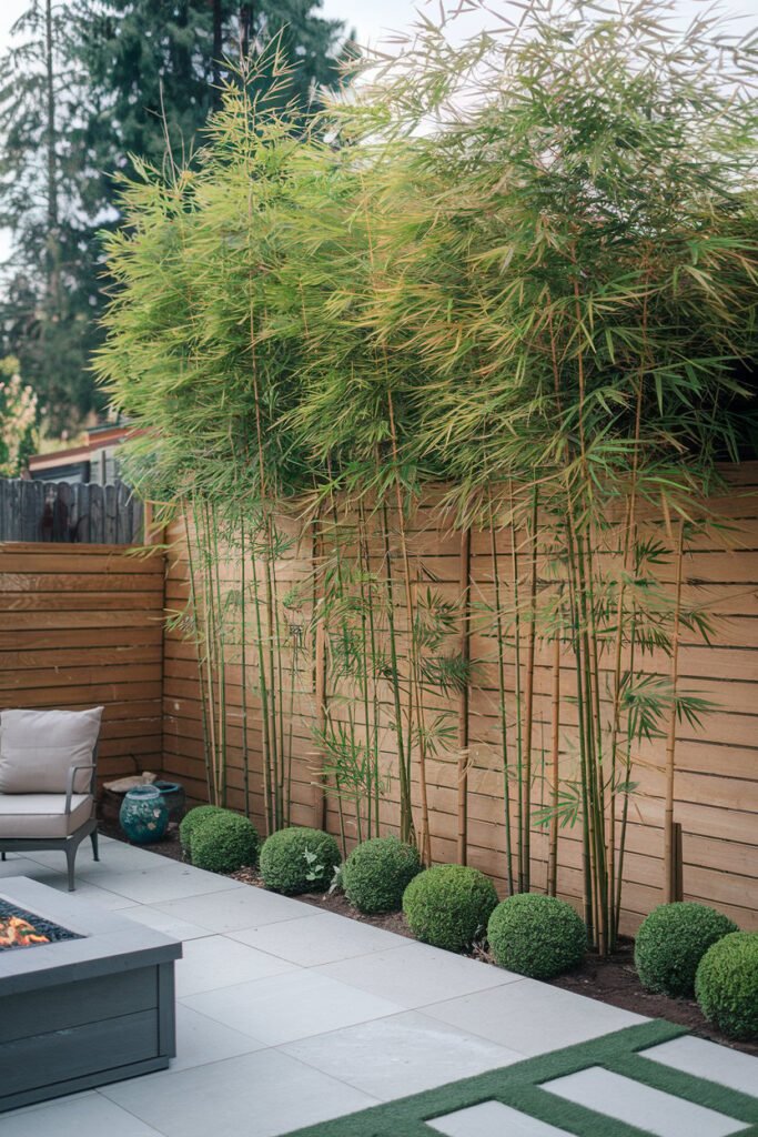 Bamboo Screens