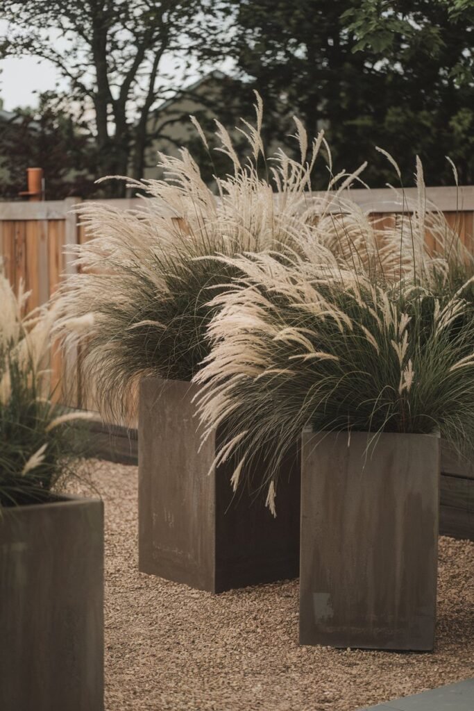 Tall Planters with Ornamental Grasses