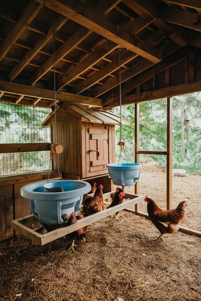 Hanging Feeders and Waterers