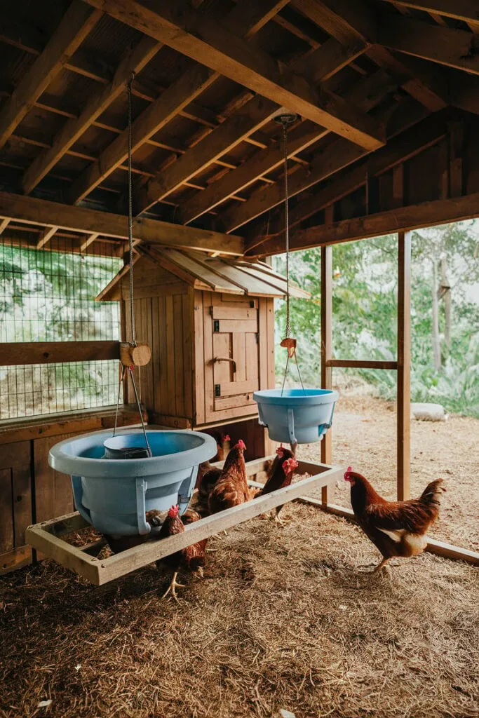 Hanging Feeders and Waterers