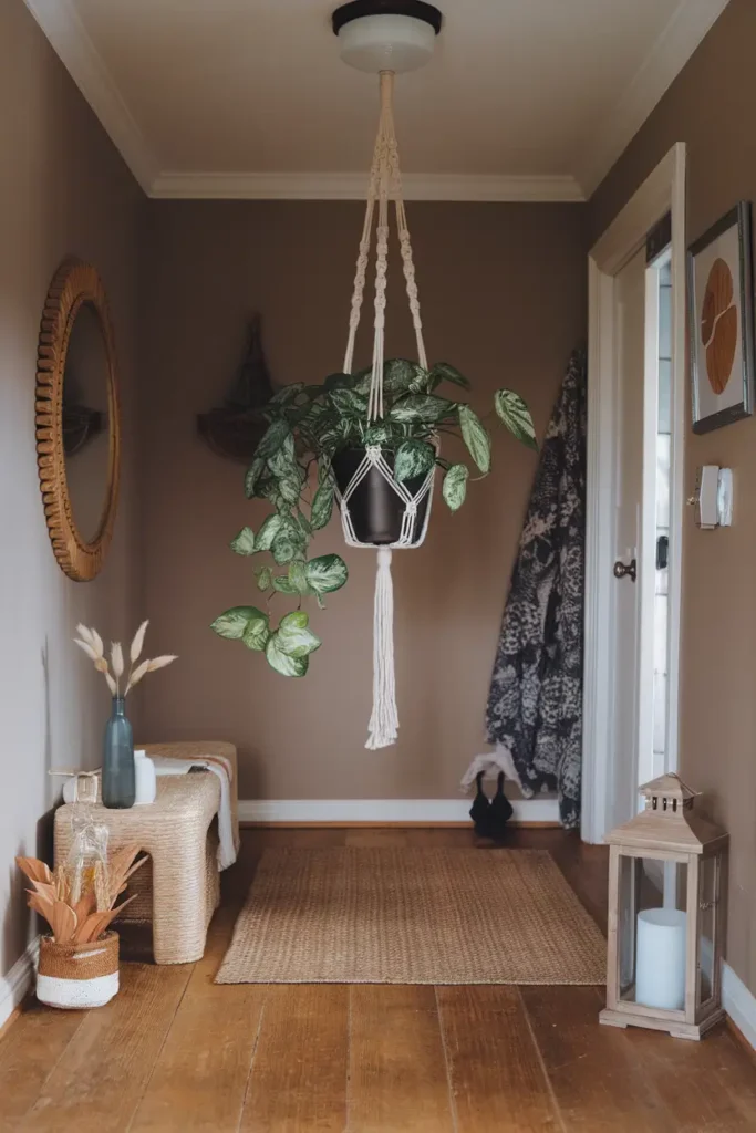 Freshen Up with Hanging Plants