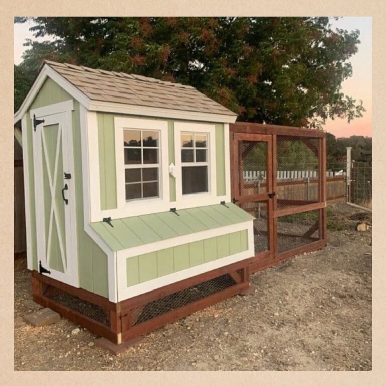 15+ Small Chicken Coop Ideas for a Cozy & Functional Backyard