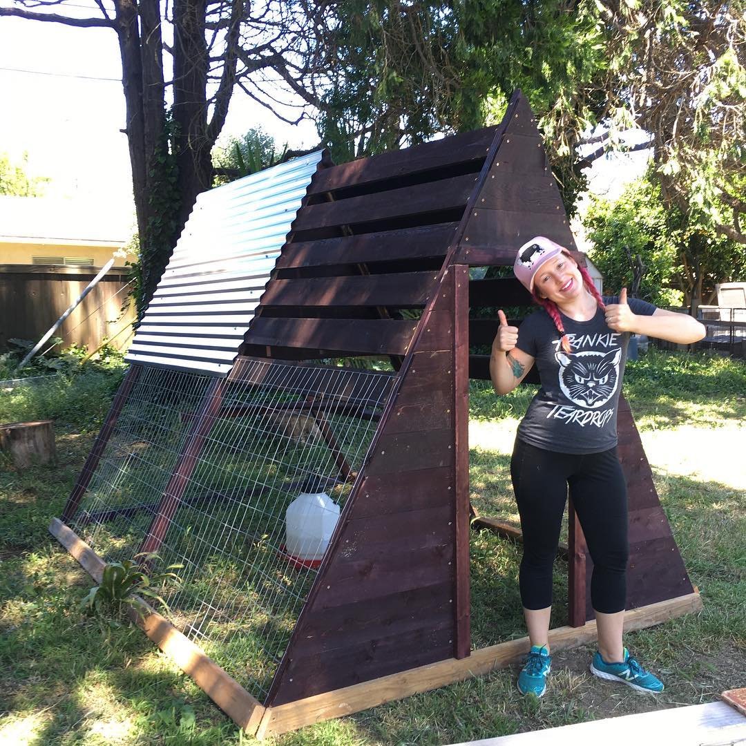 15+ Small Chicken Coop Ideas for a Cozy & Functional Backyard