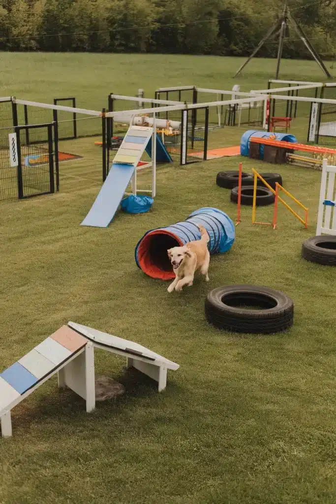 Adventure Kennel