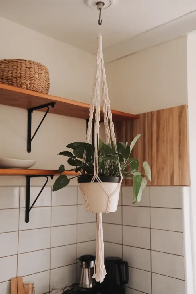 Macrame plant hangers