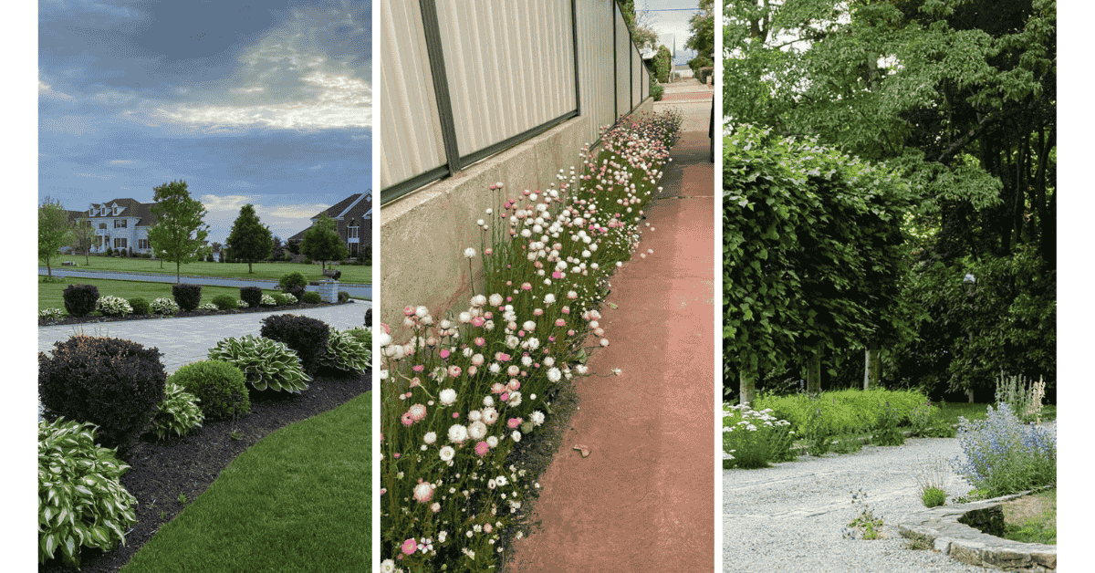 Driveway Garden Ideas