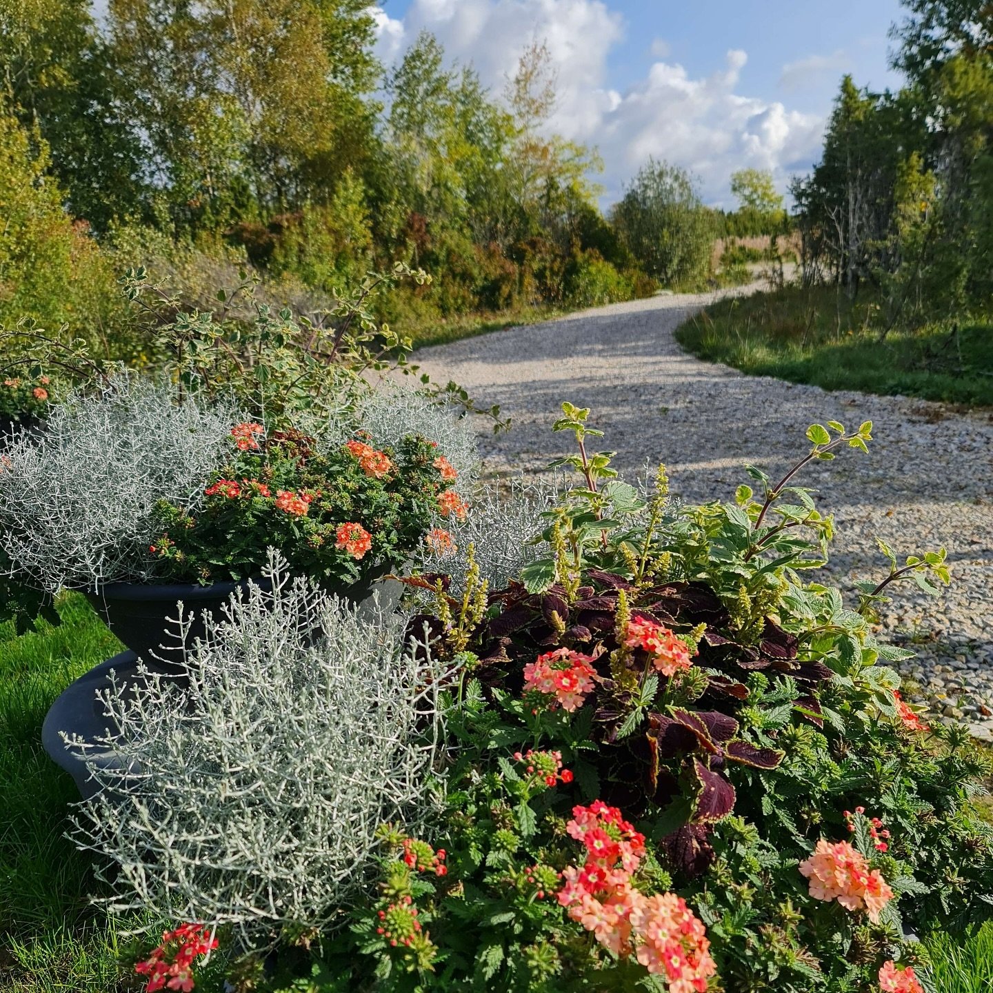 18 Beautiful Driveway Garden Ideas to Transform Your Entrance