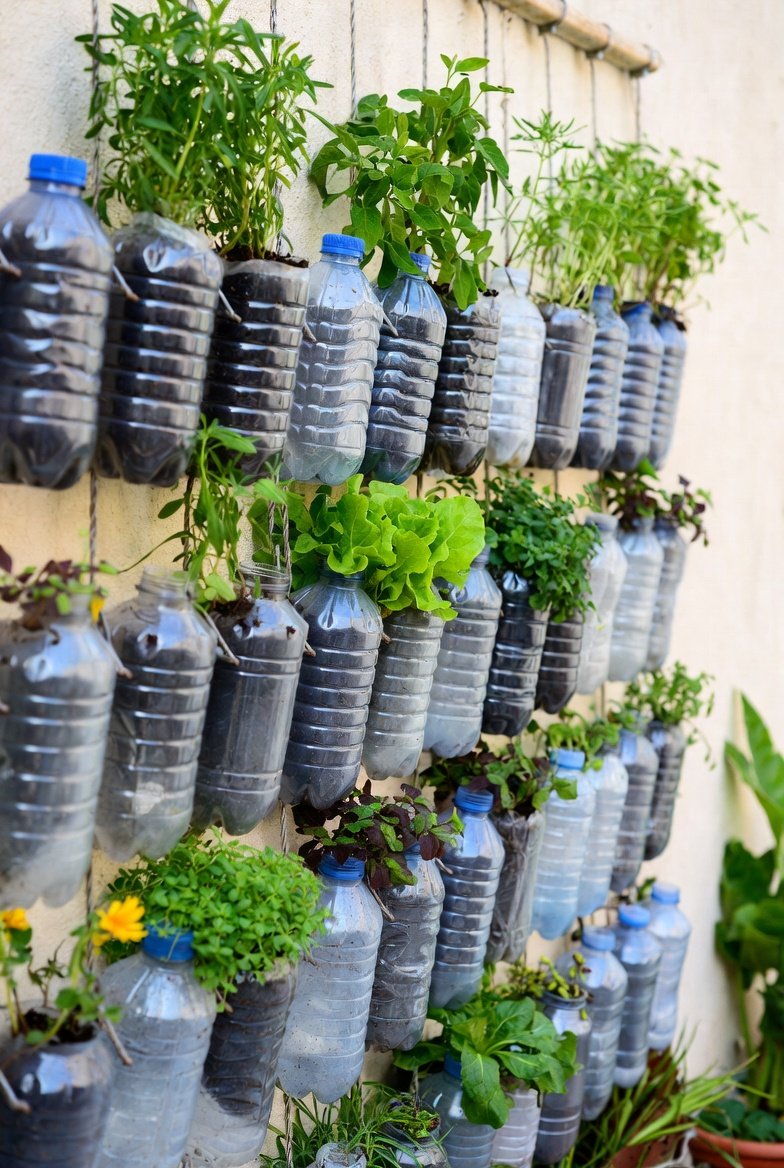 Bottle Garden Ideas